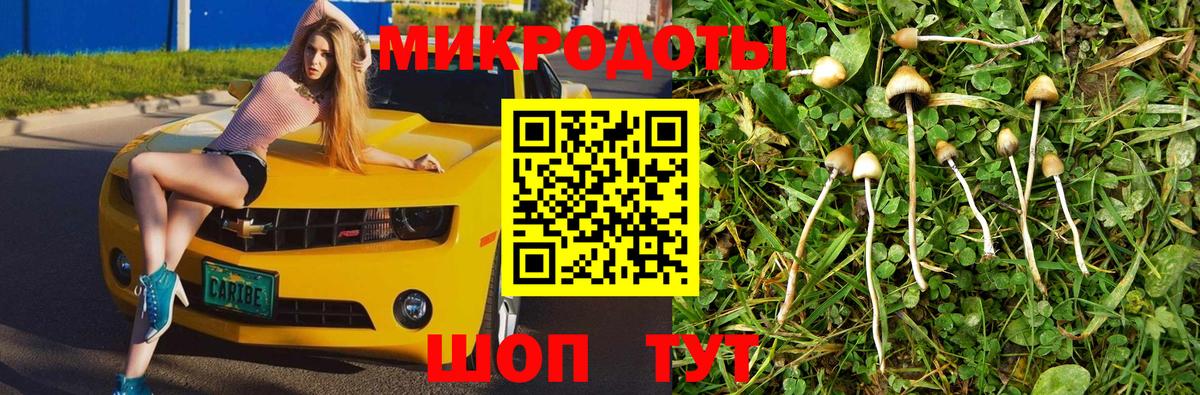 Брянск  Псилоцибиновые грибы MAGIC MUSHROOMS  Вход с VPN  Псилоцибиновые грибы MAGIC MUSHROOMS 